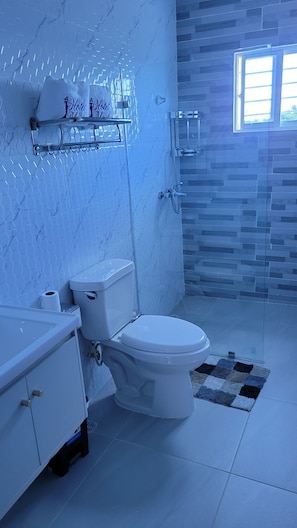 Ein Badezimmer mit Toilette, Waschbecken mit Unterschrank, Duschbereich und einem gemusterten Teppich.