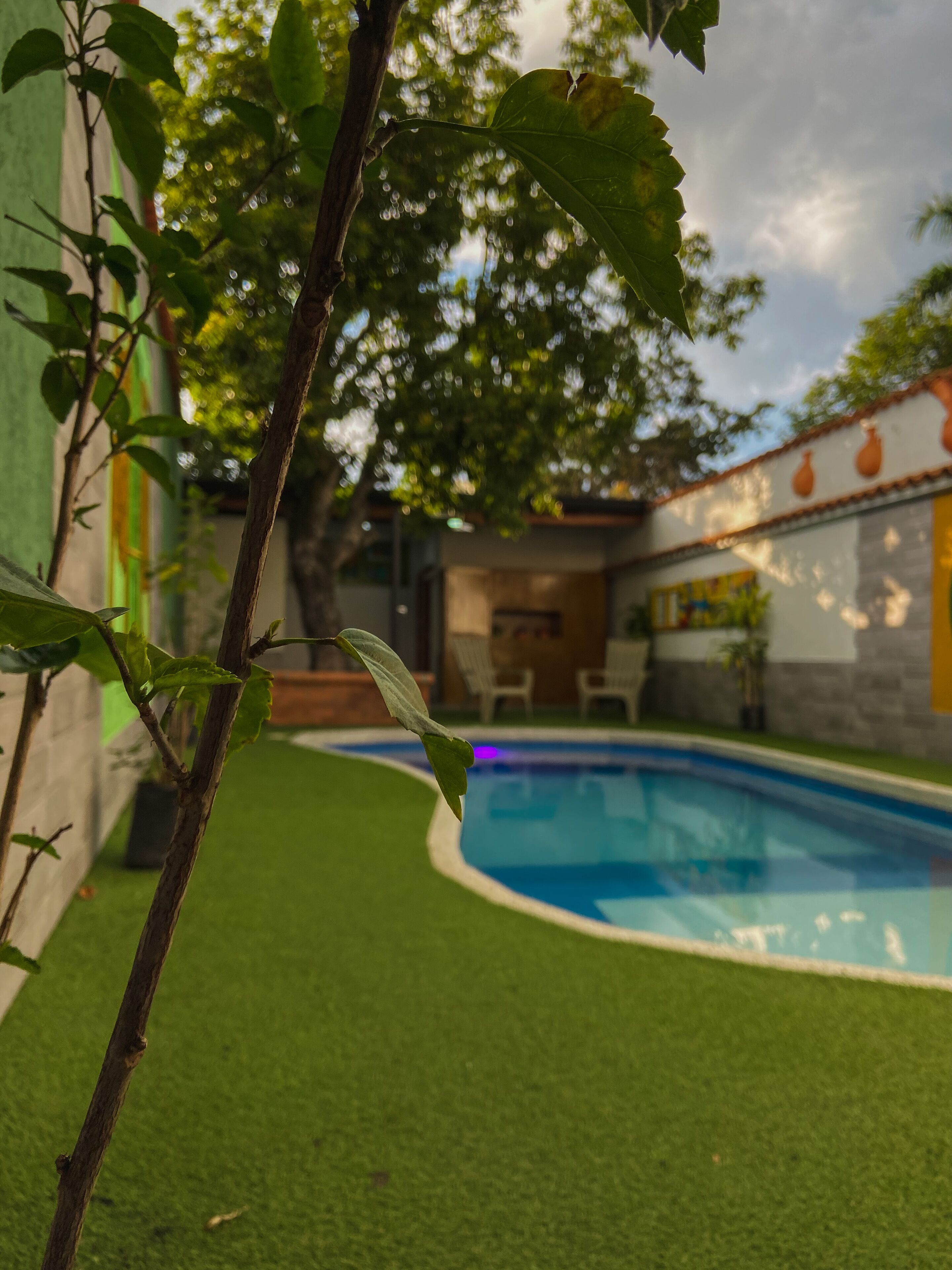 A swimming pool surrounded by artificial grass, with a tree in the foreground and a building with a tiled roof in the background.