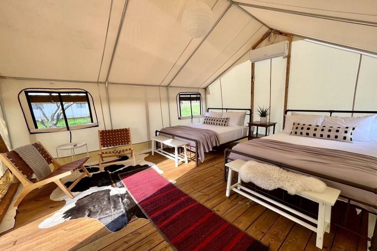 A tented accommodation with a bed, a bench, a small table, and a window.