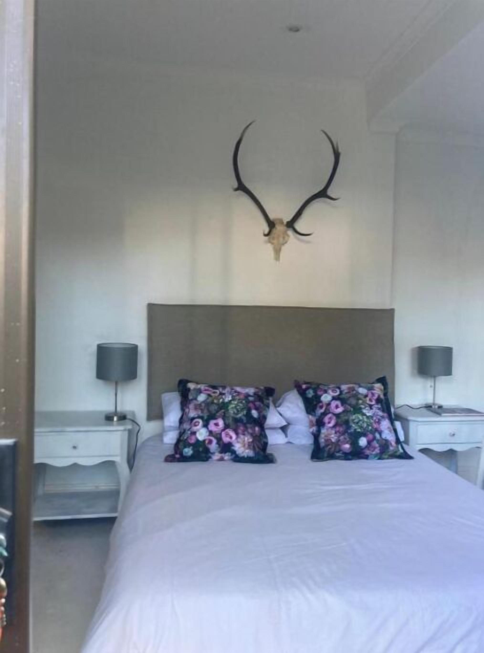 A bedroom with a large bed, two nightstands, and a deer skull mounted on the wall.