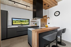 Fridge, microwave, oven, stovetop - Luxury Villa Mojito with Pool (Labin)