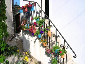 Uma escadaria com vários vasos de flores e plantas.