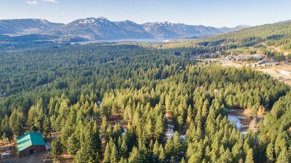 A forested area with a small building with a green roof, surrounded by dense trees and mountains in the background.