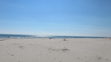 海滩