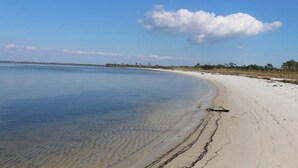 A beach with clear water, a sandy shore, and a line of trees in the background.