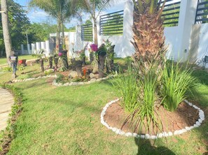 Un jardin bien entretenu, agrémenté de diverses plantes et d’un palmier, entouré d’un mur blanc avec des volets noirs aux fenêtres.