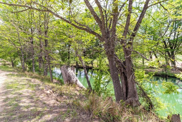 Un entorno natural con un sendero de tierra, árboles y una masa de agua tranquila.
