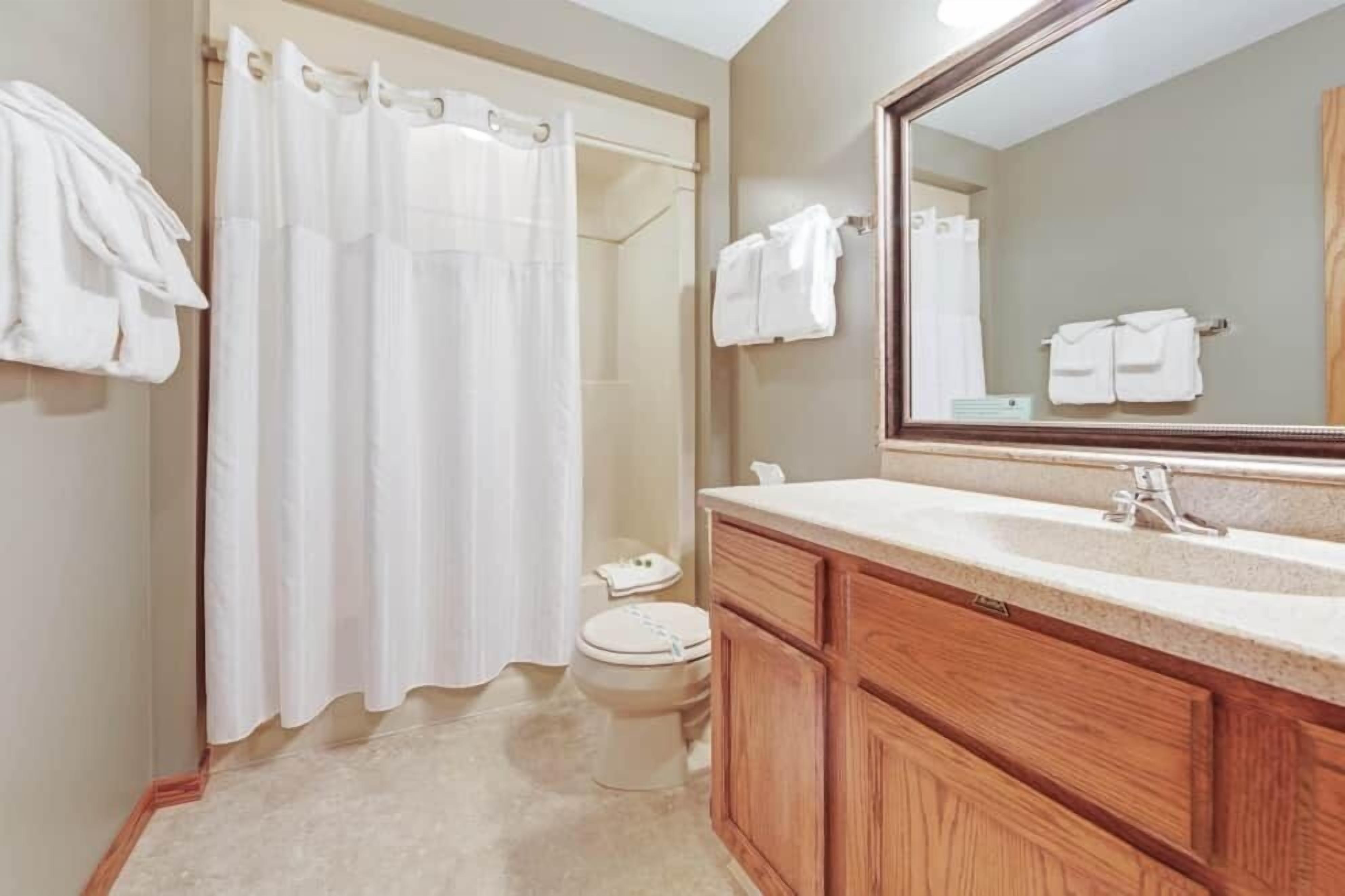 A bathroom with a shower curtain, a toilet, a sink with a mirror, and wooden cabinets.