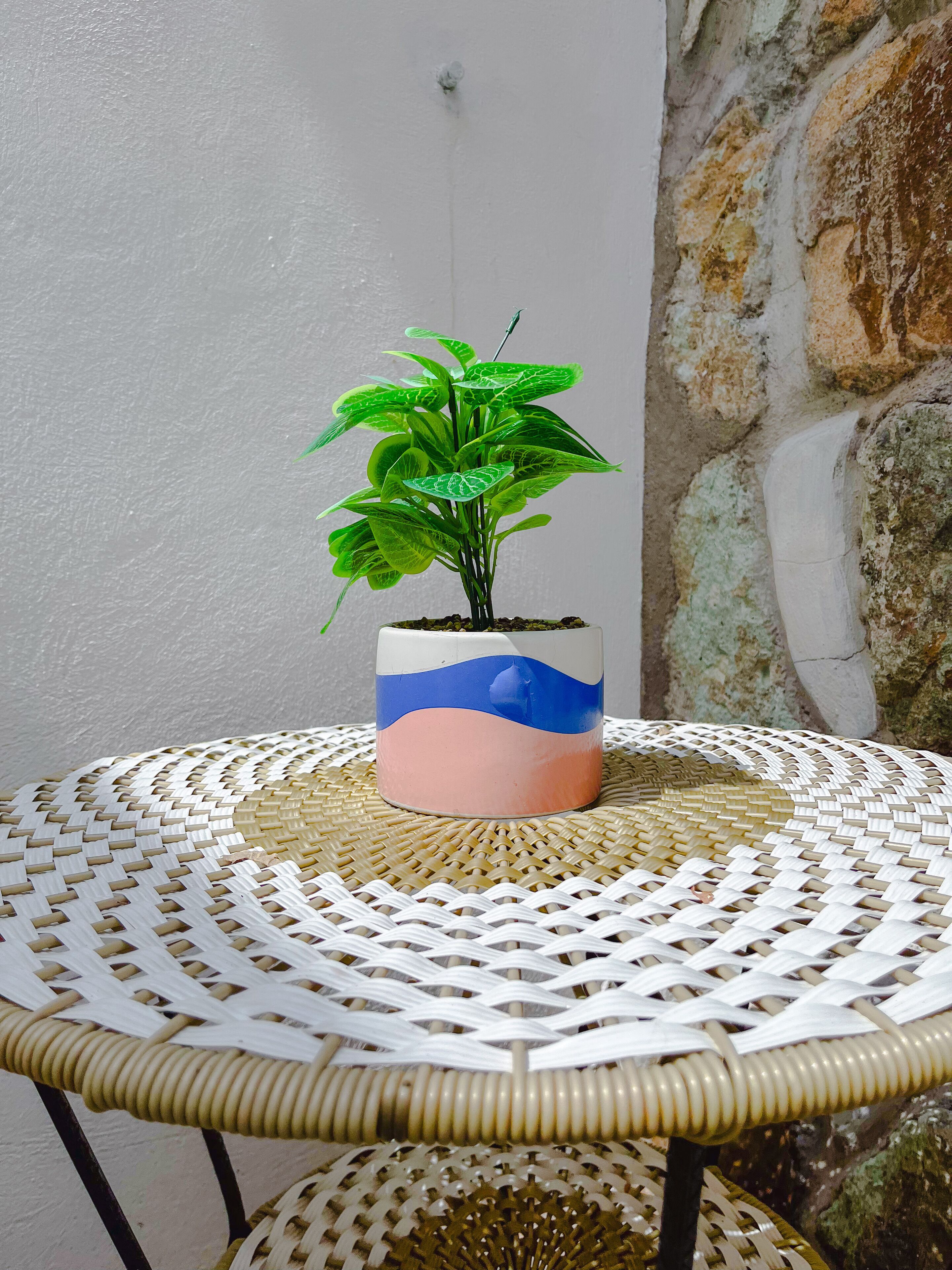 Dream room xochimilco pedestria patio r3 | Terraza o patio