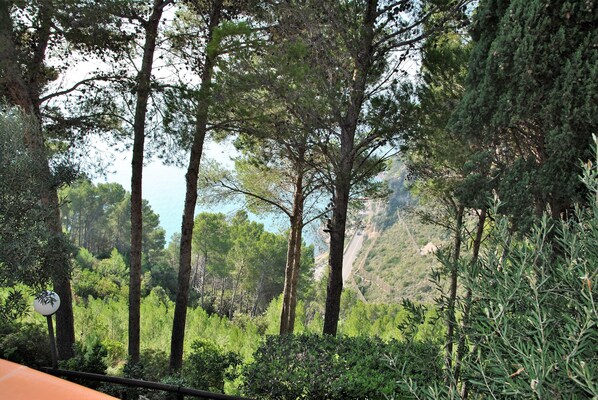 Biệt thự, 1 phòng ngủ, sân hiên, quang cảnh biển | Quang cảnh nhìn từ nơi lưu trú