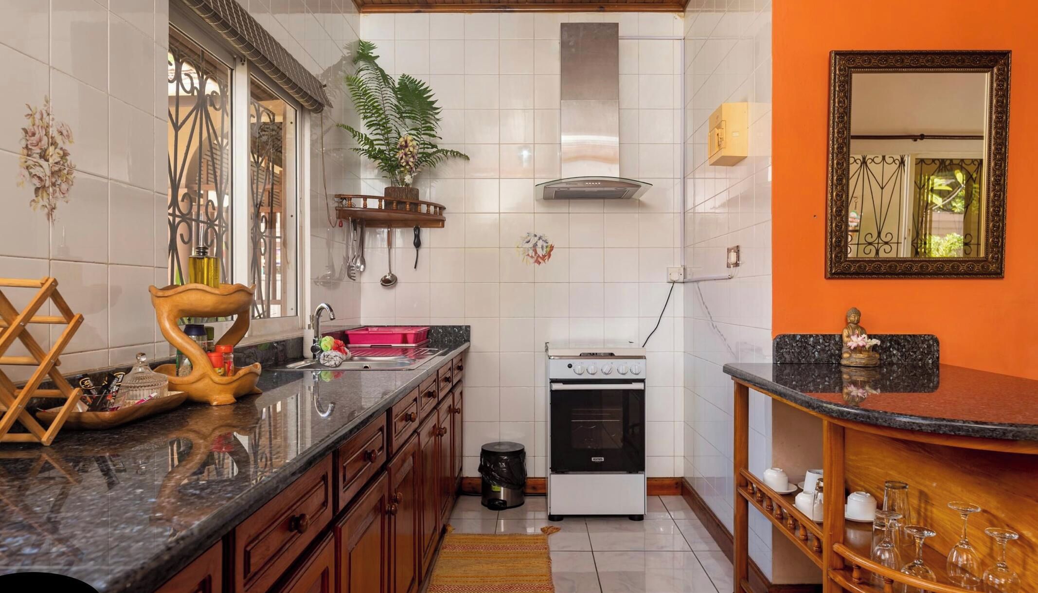 Una cocina con estufa, lavaplatos y armarios, una planta en maceta y un espejo decorativo.