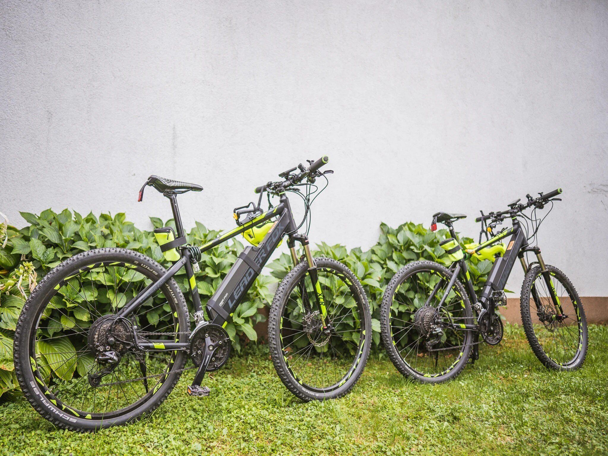 Three bicycles parked against a wall with green foliage in the background.