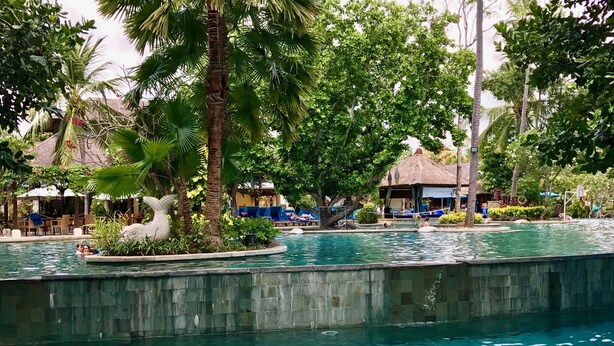 A pool area with lounge chairs and umbrellas, surrounded by palm trees and tropical plants. - "nusa Dua Luxury 2 Bedroom Apartment" (Nusa Dua)