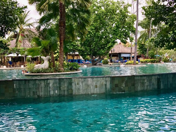 Relax by the serene pool surrounded by lush greenery and palm trees.