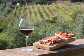 A glass of red wine and a wooden board with cured meats and a tomato-based dish on a stone ledge with a vineyard in the background. - Holidays In The Heart Of Chianti (Barberino Tavarnelle)