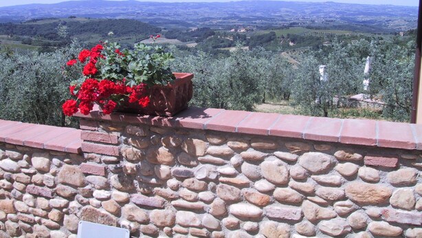 A stone wall with a potted plant and a view of a valley with olive trees and distant hills. - Holidays In The Heart Of Chianti (Barberino Tavarnelle)