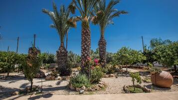 Villa, 5 Bedrooms, Accessible, Private Pool | Property grounds