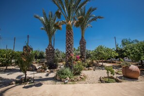 Property grounds - Papas Family Villa With Private Pool Wheelchair Accessible (Paralimni)