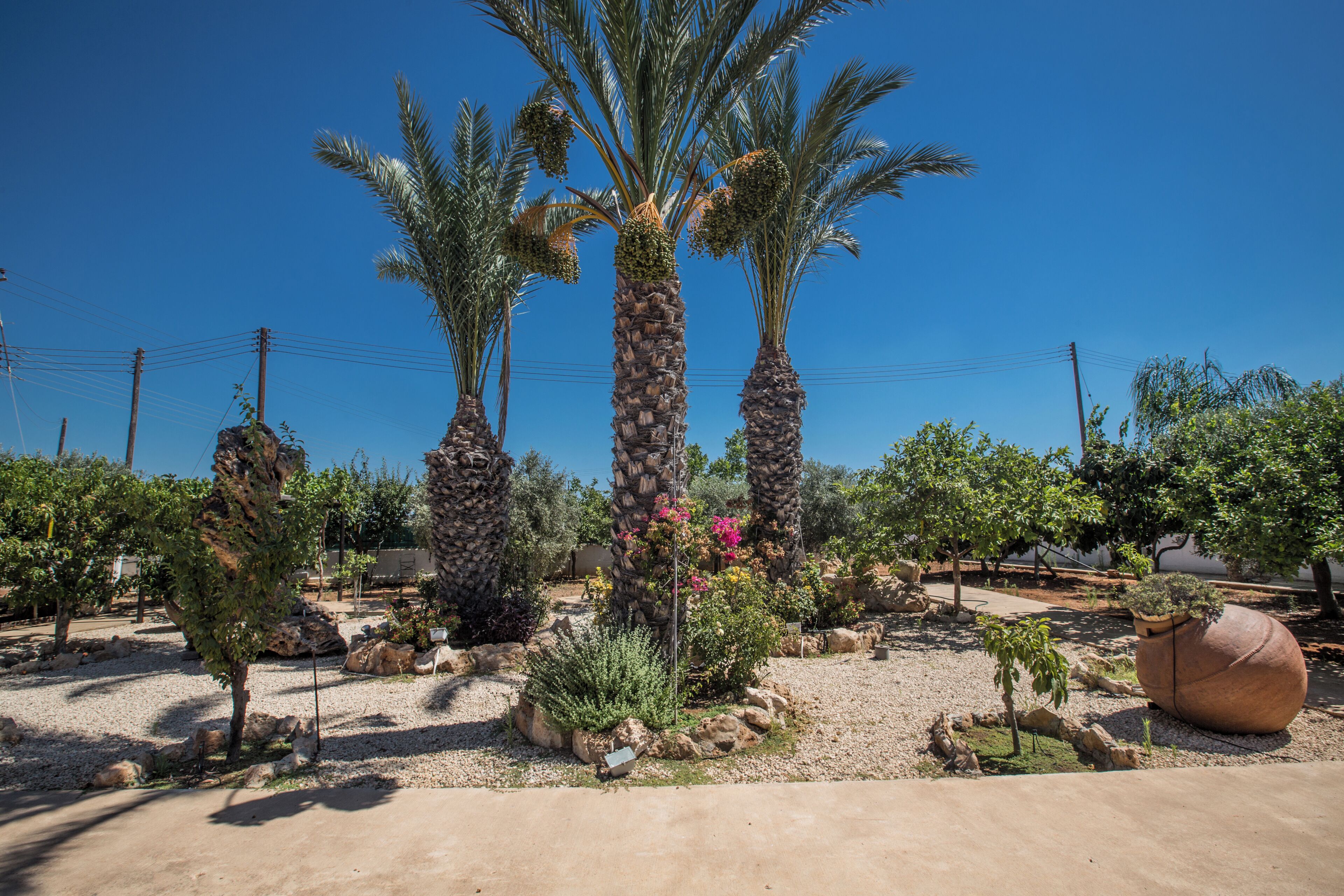 Villa, 5 Bedrooms, Accessible, Private Pool | Property grounds