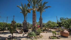 A landscaped garden with palm trees, rocks, and a large pot. - Papas Family Villa With Private Pool Wheelchair Accessible (Paralimni)