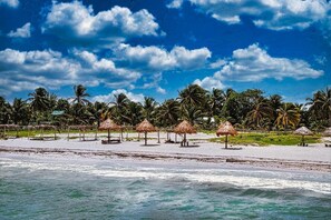 Une plage avec des parasols en chaume et des palmiers.