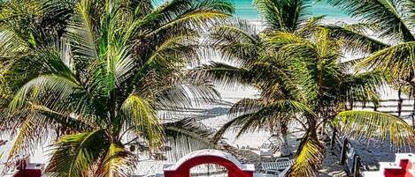 A beach with palm trees, a red fence, and a clear blue sky.