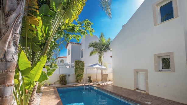 Una piscina con borde de azulejos, rodeada de paredes blancas y palmeras.