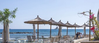 Sanders Crystal 2 - Penthous With Shared Rooftop