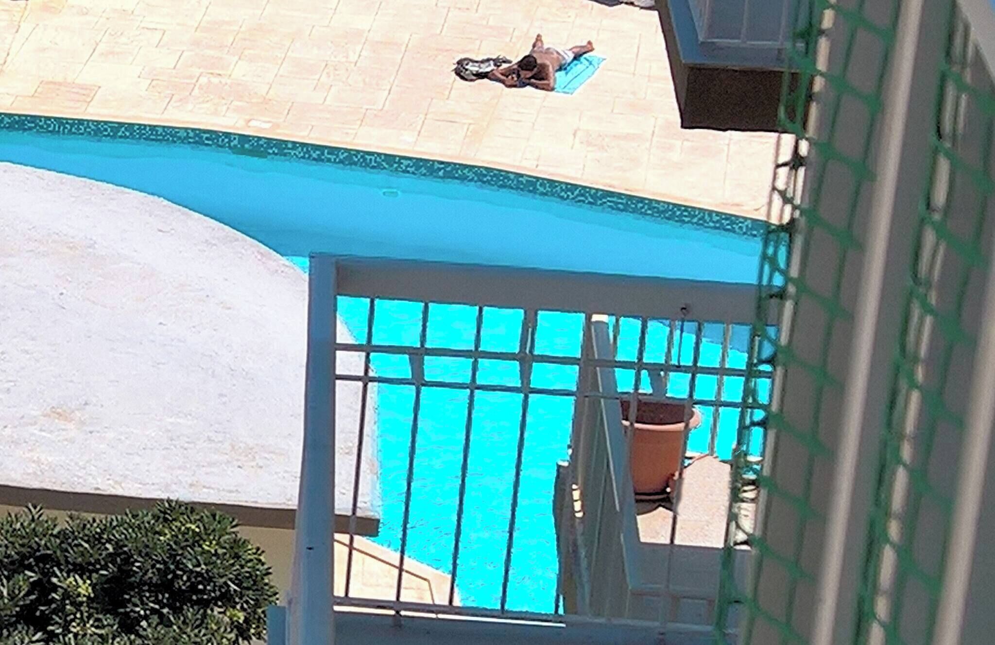 Una piscina con bordo piastrellato, una pianta in vaso e un cancello.