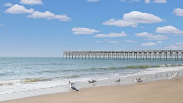 Beach nearby, white sand