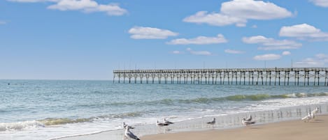 Beach nearby, white sand