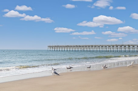 Beach nearby, white sand