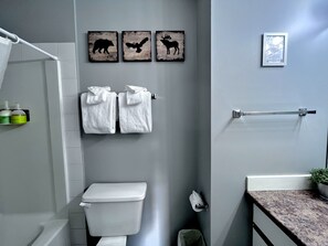 Secador de cabelo, toalhas de banho, sabonete, shampoo