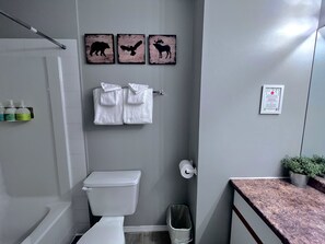Hair dryer, towels, soap, shampoo