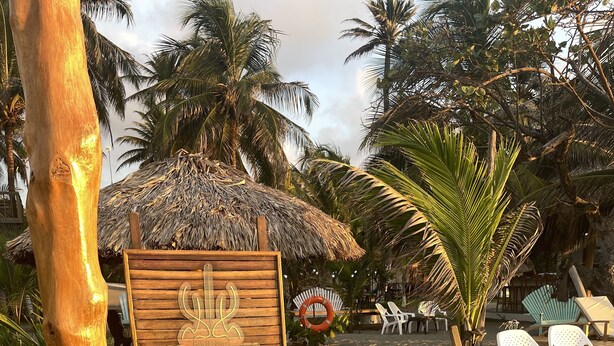 A wooden sign with "CASA ORIGEN" and a palm tree. - CASA ORIGEN BOUTIQUE (San Bernardo del Viento)