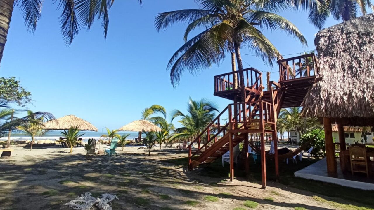 Een strand met rieten hutten, palmbomen en een houten trap die naar een platform leidt.