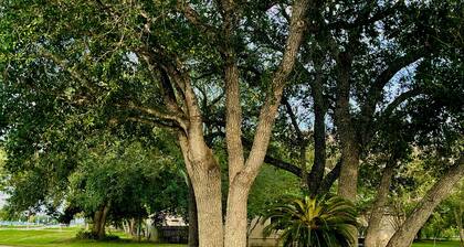 Lovely 1 bedroom apartment Pearland - Wi-Fi - Roku TV