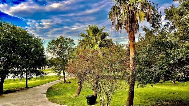 A park with a curved pathway, green grass, and trees. - Lovely 1 bedroom apartment Pearland - Wi-Fi - Roku TV (Pearland)