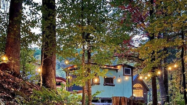 Un chalet rustique entouré d’arbres, avec un sentier en bois menant à l’entrée.