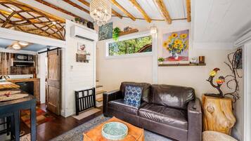 Televisión, chimenea y libros