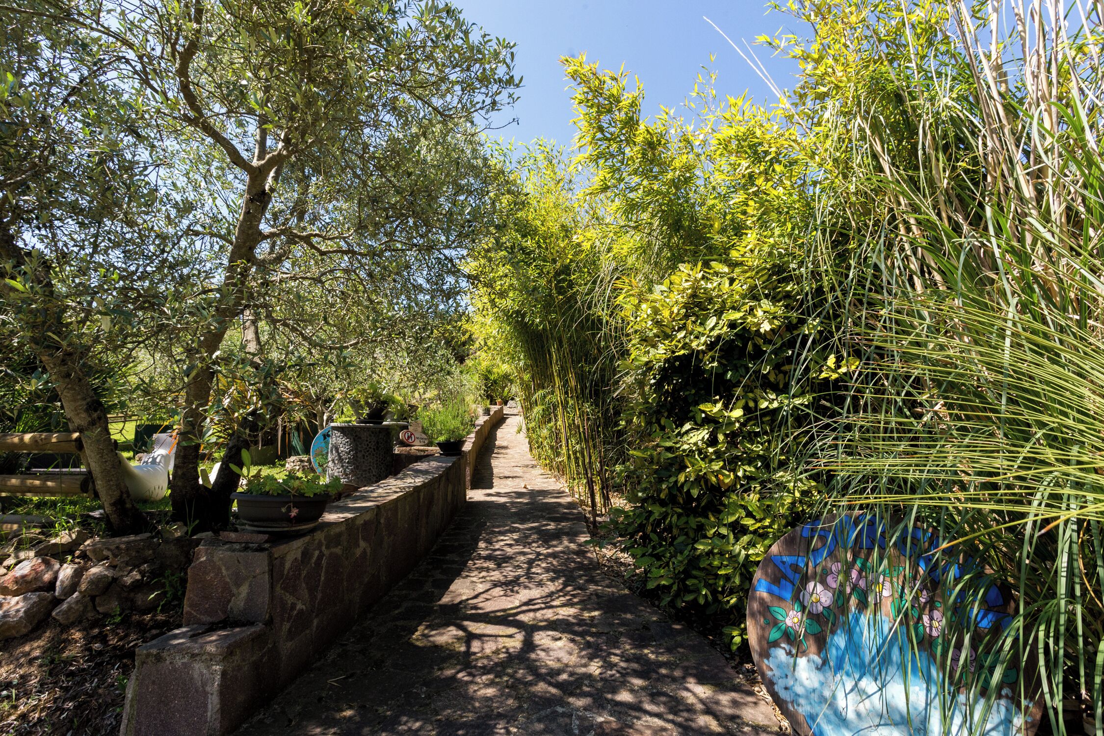 Parco della struttura