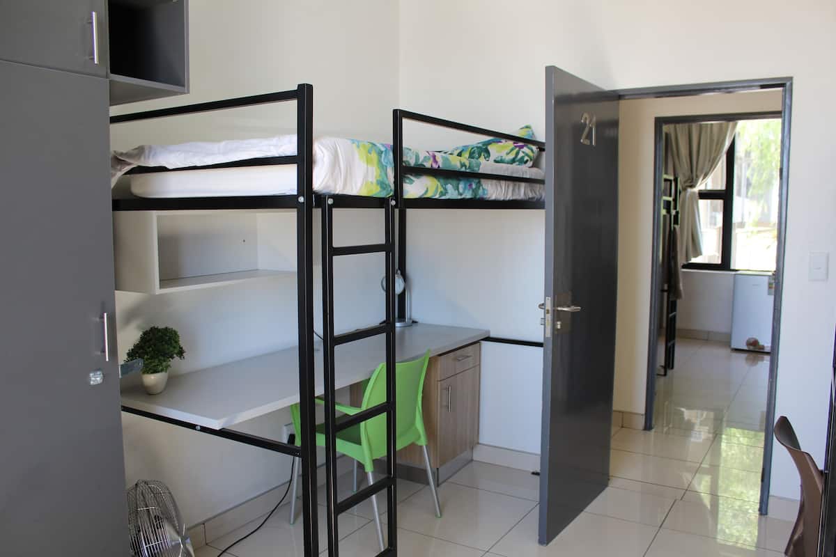 A dormitory room with bunk beds, a desk, a chair, and a potted plant.