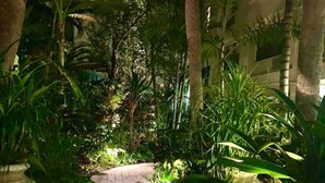 Un sendero pavimentado rodeado de abundante vegetación y altos árboles, que conduce a un edificio con ventanas.