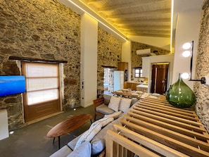 TV connectée, cheminée, table de tennis de table, livres