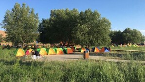 Un camping con varias tiendas de campaña dispuestas en filas, rodeado de árboles y zonas verdes abiertas.