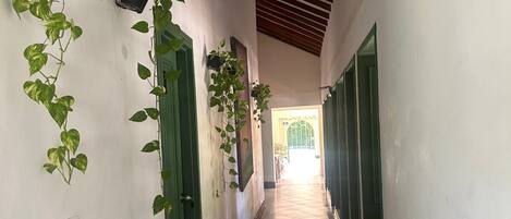 A hallway with green doors, a tiled floor, and hanging plants.