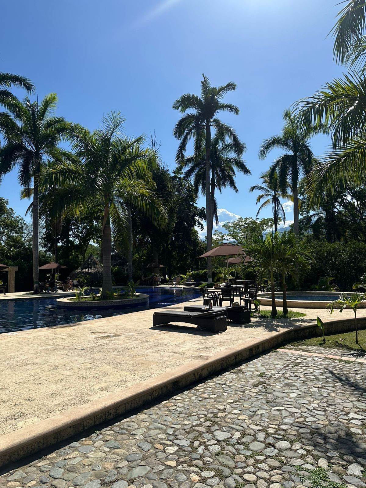 Zona de piscina con sillones de descanso, palmeras y un camino de piedra.
