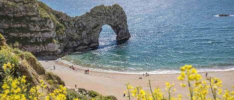 ハウス ベッドルーム (複数) | ビーチ