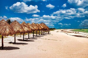 Loft, 1 Bedroom, Terrace, Garden View | Beach - Beachfront Palapa In El Cuyo, Best Views (Tizimín)