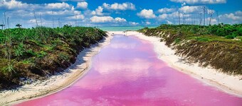 Beachfront Palapa In El Cuyo, Best Views
